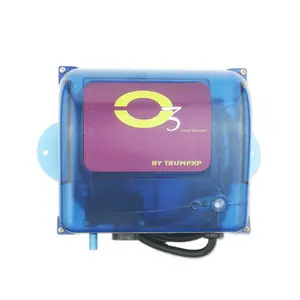 हॉट टब AC110V या 220 V 300 mg/घंटा बाथटब स्पा ओजोन जनरेटर ओजोन जनरेटर