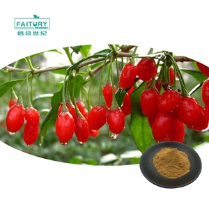 Оптовая продажа, органический порошок ягод годжи, экстракт <span class=keywords><strong>Lycium</strong></span> <span class=keywords><strong>Barbarum</strong></span>, экстракт волчины, порошок, полисахарид для улучшения Sexua - Product Image 2