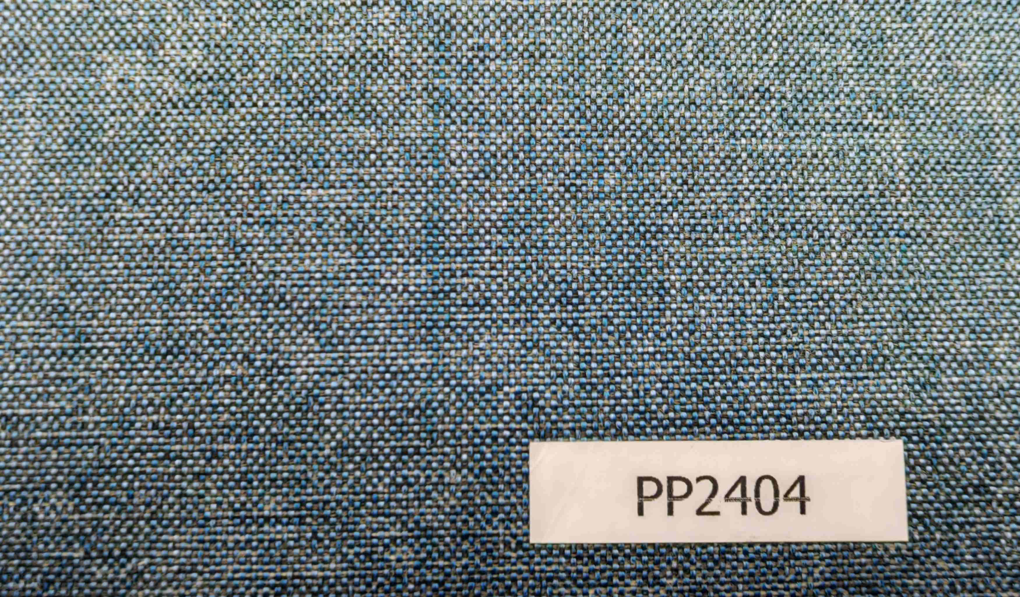 PP2404