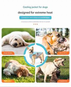 เสื้อกั๊กสัตว์เลี้ยงน้ำหนักเบาสำหรับฤดูร้อนเสื้อผ้าสุดเท่สำหรับสุนัขขนาดเล็กและระบายอากาศได้ดี - Product Image 5