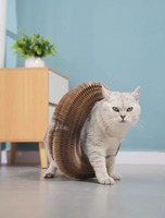 Nouveau grattoir pour chat créatif, personnalisable, pliable, en carton ondulé, jouet durable pour chat, fournitures pour animaux de compagnie