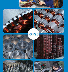 <span class=keywords><strong>45kw</strong></span> 55kw 75 kw 110kw 132kw 160 kw 200kw 250kw 315kw पूरी तरह से तीन चरण 220v ac इंडक्शन मोटर इलेक्ट्रिक - Product Image 5