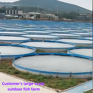 <span class=keywords><strong>บ่อ</strong></span>เลี้ยง<span class=keywords><strong>ปลา</strong></span>เหล็กชุบสังกะสีทรงกลมแบบกำหนดเองพร้อมแผ่นรองพีวีซี ถังเพาะเลี้ยงสัตว์น้ำแบบ OEM สำหรับการเลี้ยงปลานิล 5000-50000 ลิตร - Product Image 6