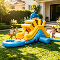 Toboggan aquatique gonflable Dolphin avec piscine, toboggan aquatique commercial en PVC pour enfants, location pour fêtes