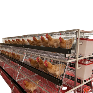 Jaulas de batería para gallinas ponedoras, equipos para granjas avícolas y cría de <span class=keywords><strong>huevos</strong></span> - Product Image 2