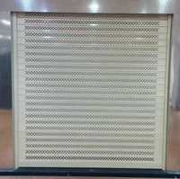 Porte à volet roulant creuse en alliage d'aluminium antivol Porte à volet roulant ventilée à poinçonnage électrique