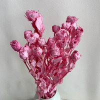 Approvisionnement direct usine : Branches de roses éternelles naturelles multi-têtes, longue durée, pour décoration intérieure et cadeaux