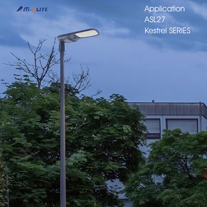 Éclairage public intelligent basé sur l'IoT, nouveau design, module d'éclairage public LED de 50 watts pour les lampadaires de rue, guirlande - Product Image 6