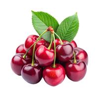 Collation aux fruits frais extra large sur mesure de la cerise moderne dernière qualité douce juteuse vitamine riche Compliment sain du Shandong