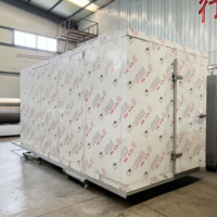 Kls Snelbevroren Avocado Blok Machine Voor De Productie En Verwerking Van Avocadojam Productielijn-Fruit & Groente Machines