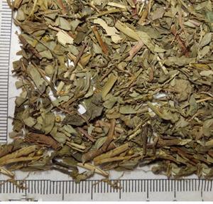 ก้านใบแห้งธรรมชาติของพืชป่าจีน ยี่ห้อเย่เซี่ยจู (<span class=keywords><strong>Phyllanthus</strong></span> Urinaria) - Product Image 5