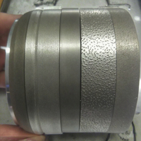 Roues diamantées professionnelles BWD pour le meuleur WECO |   Abrasifs de précision pour le meulage des lentilles |   Ensemble de 110 mm