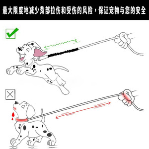 Correa Elástica Extensible para Perros, Cuerda de Alta Elasticidad Telescópica con Bloqueo de Seguridad Anti-Rotura, Paquete de 2 Correas para Mascotas - Product Image 5