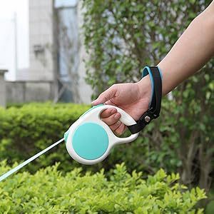 Laisse de chien avec sangle de poignet en nylon, aide à la marche mains libres pour animaux de compagnie - Product Image 3