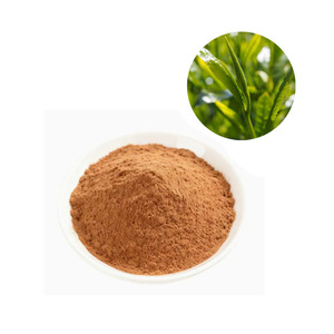 Extracto de Hojas de Té Verde de Alta Calidad <span class=keywords><strong>Soluble</strong></span> en Agua, 10%-98% de Polifenoles, Polifenoles de Té 50%, Extracto de Té Verde en Polvo - Product Image 2