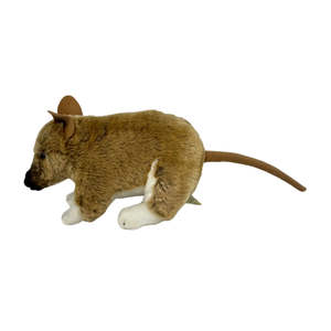 Lindo Peluche de <span class=keywords><strong>Bandicoot</strong></span>, Juguete Realista de Animal Salvaje Australiano, Muñeco de Peluche Seguro, Decoración para <span class=keywords><strong>el</strong></span> Hogar, Disponible al por Mayor para Niños - Product Image 4