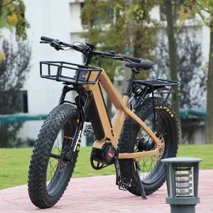 Bafang 벨트 드라이브 48v 1000w 중반 드라이브 26 인치 전기 지방 자전거 전기 자전거 산 ebike 핫 세일