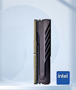 <span class=keywords><strong>16GB</strong></span> <span class=keywords><strong>DDR4</strong></span> 2666 Módulo de memoria de escritorio Serie Black Knight Intel Specific 2400/2666MHz - Product Image 1
