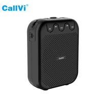 Haut-parleur portable USB Aux Callvi V-727, mini amplificateur vocal sans fil UHF avec microphone