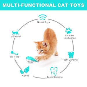 Duurzame Katten Tandjes Interactieve Beweging Kauwen Tandenborstel Voedsel Dispenser Traktatie Kattenkruid Puzzel Speelgoed - Product Image 2