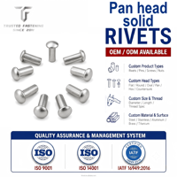 Rivets pleins à tête cylindrique personnalisés TianFang – Options en acier, laiton, cuivre, fer – Composants d'assemblage de quincaillerie automobile de précision OEM