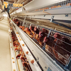 Tốt Thiết Kế Gà Nhà 20000 Chim Tự Động Trứng Đẻ Pin Lồng Hai Lớp Gia Cầm Nông Nghiệp - Product Image 3