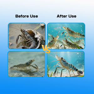 เร่งการเจริญเติบโตของกุ้งเสริมการเพาะเลี้ยงอาหารสัตว์น้ำวิตามินเร่งการเจริญเติบโตของกุ้งและเพิ่มภูมิคุ้มกัน - Product Image 2