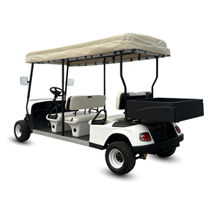 Voiturette de <span class=keywords><strong>golf</strong></span> électrique Holladay 72V avec une autonomie de 90 km, boîte de chargement utilitaire, fonctionnalités de tourisme - Product Image 3