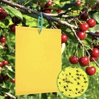 Pièges à mouches jetables en gel jaune, pièges collants pour insectes avec une capacité de 250-750 ml pour les fourmis, les moustiques, les pucerons, lutte antiparasitaire des plantes en extérieur