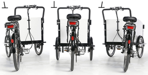 Triciclo Eléctrico de Carga con 4 Cinturones de Seguridad para Bebés, Nuevo Triciclo de Tres Ruedas para Adultos, Triciclo de Carga Moderno y de Ocio - Product Image 6