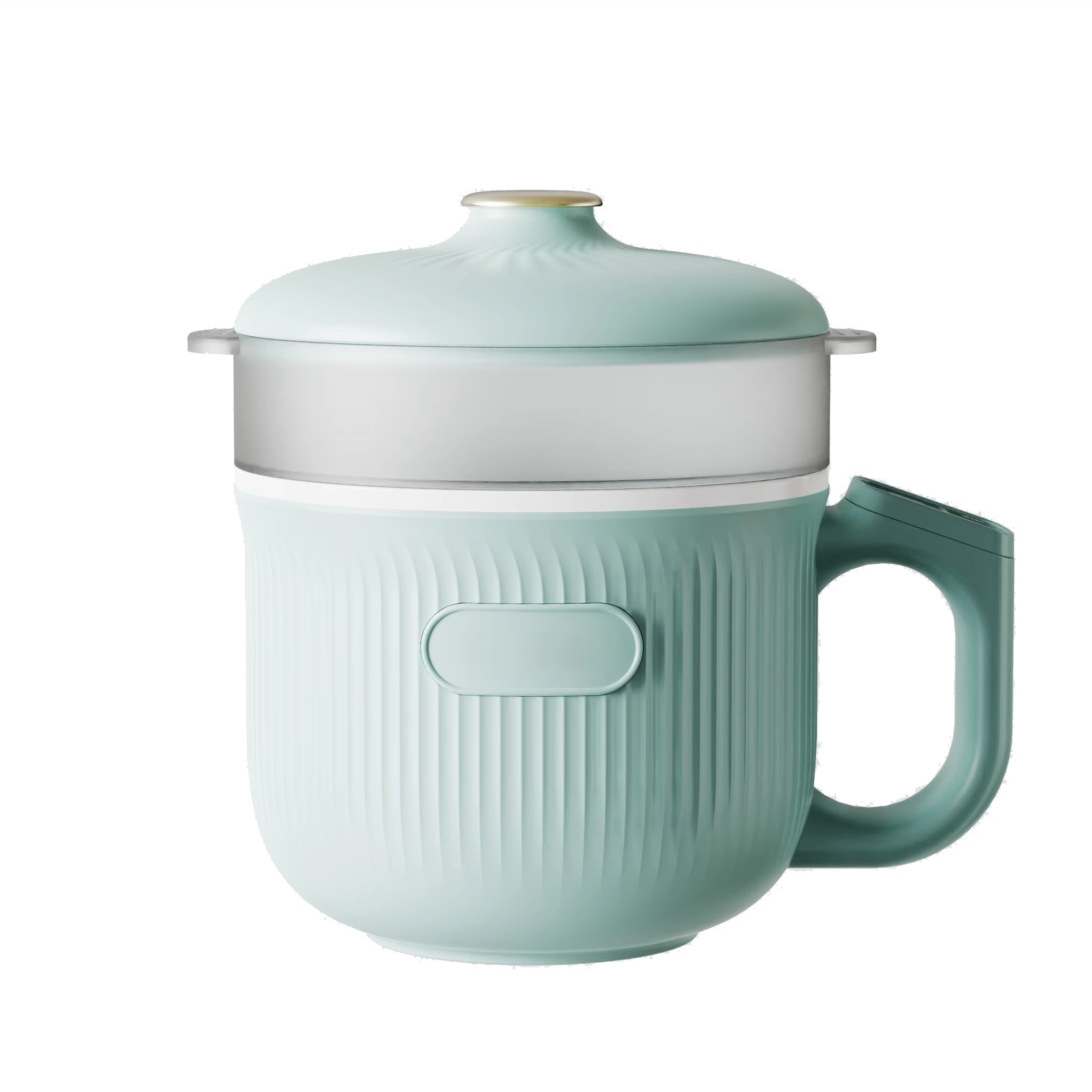 electric pot multifunction