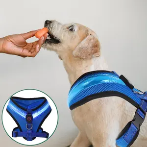 3 Size Glowing in Dark Dog Vest Safety Flashing USB Light LED Dog Harness Vest Comfortable Nylon LED Dog Vest Harness