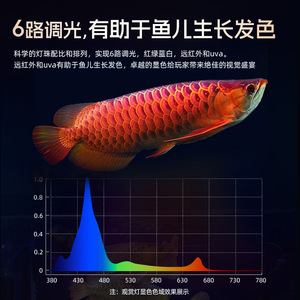 Kassray Aquarium Led Light 240W High Power Full Spectrum For <b>Fish</b> Tank Coral Growth With Dimmable Control - Product Image 4