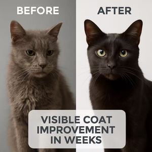 Pet Probiotics <b>for</b> Dogs Custom Brand Logo Digestive Dog Supplement Relieves Flatulence Bloating Balanced Pet Probiotics - Product Image 4