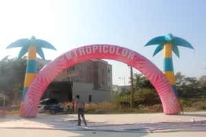 Arco Inflable con Palmera, Impresión Digital, Bomba de Aire Eléctrica, Más de 3.6 m, para Eventos Publicitarios - Product Image 2