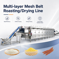 Industriële continue transportbanddroger voor maïs, snacks en gepofte voedingsmiddelen