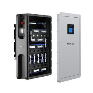 Pour Split IP65 CAN 51.2V 200Ah LiFePo4 semi-solide 10.24KWh batterie de stockage solaire murale pour la maison - Product Image 6