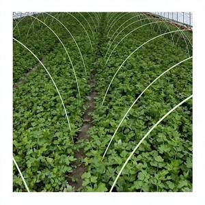 Varilla Sólida de Fibra de Vidrio FRP GRP de Alta Resistencia, Retardante de Fuego, Corte Personalizado para Uso en Agricultura, Invernaderos e Industria de la Construcción - Product Image 1