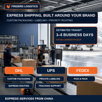 Firebird Agent logistique de fret aérien le moins cher DHL UPS FedEx Express de Chine vers l'UE Allemagne Italie Espagne Royaume-Uni GB États-Unis FCL