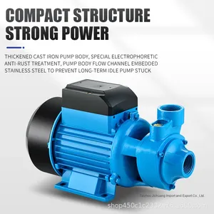 DL Qb607080 Ventes à l'exportation transfrontalières Petit ménage 220V/110V Pompe à eau Vortex Pompe de circulation centrifuge Numéro de modèle <span class=keywords><strong>QB60</strong></span> - Product Image 3