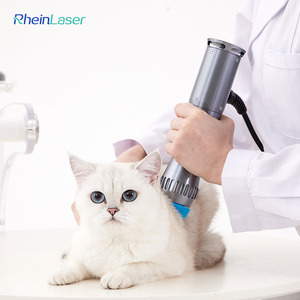 Bán chạy nhất Sw-200 eswt Shockwave Máy trị liệu với đầu điều trị cho ngựa Dog đau khớp cứu trợ - Product Image 5