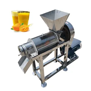 Commercial sugarcane ginger pomegranate juice extractor machine cold press juice making machine