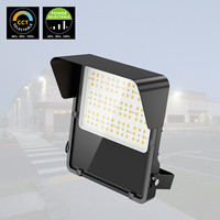 Projecteur LED à haut rendement IP66 ETL CE, puissance CCT, cellule photoélectrique, 50W 100W 300W 400W, projecteur LED pour stade