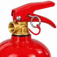 Valve de tête d'extincteur CO2 à poignée rouge certifiée CE en laiton pour bouteilles de 1 à 12 kg, OEM disponible