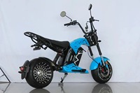 Nouveau EEC 2000W 4000W 60V 40AH batterie amovible gros pneu scooter électrique citycoco pour adulte moto électrique style chopper