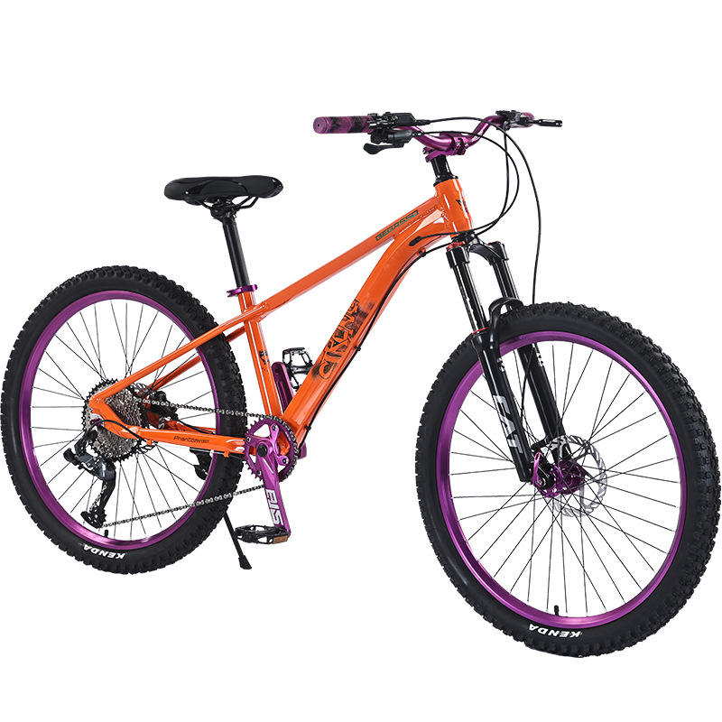 Bici Mtb Eleven MTB Bike 11KG Lightweight Carbon Fiber Mountain