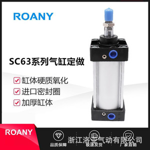 กระบอกลมนิวแมติกแบบกำหนดเองรุ่น Roany Sc63 ตัวเรือนเหล็กแบบไม่มาตรฐาน - Product Image 1