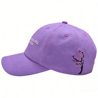 Gorra de Béisbol Unisex de Lona, 100% Algodón, 6 Paneles, con Logotipo Bordado en 3D Personalizado, Deportiva, Urbana, Ajustable, para las 4 Estaciones