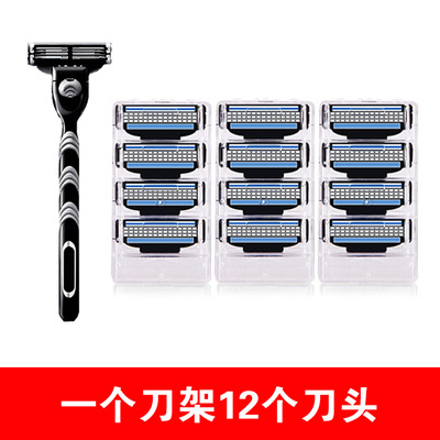 1 blade holder with 12 blades