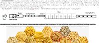 Ligne de production de macaroni avec moules d'extrusion de pâtes personnalisés, équipement complet de fabrication de pâtes, expédition directe du fabricant